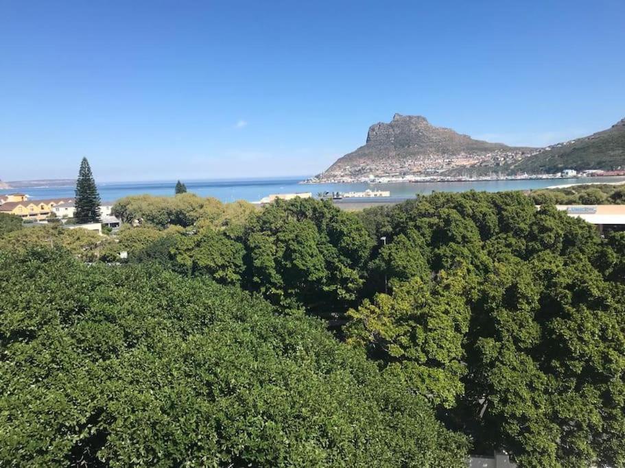 Ferienwohnung Chapman'S Peak, Loft Mit Sea-Und Mountainview Hout Bay Exterior foto